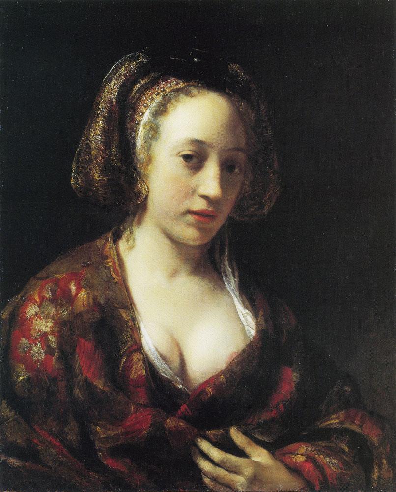 Young Woman in a Brocade Gown